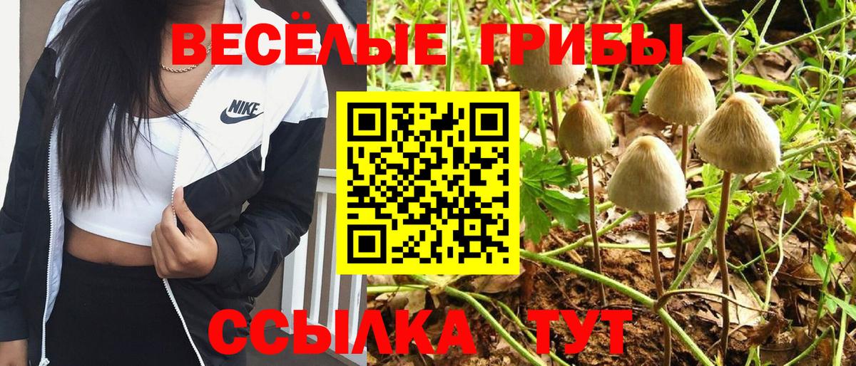 Егорьевск  как найти закладки  Псилоцибиновые грибы Cubensis  Вход с VPN  Псилоцибиновые грибы мухоморы 