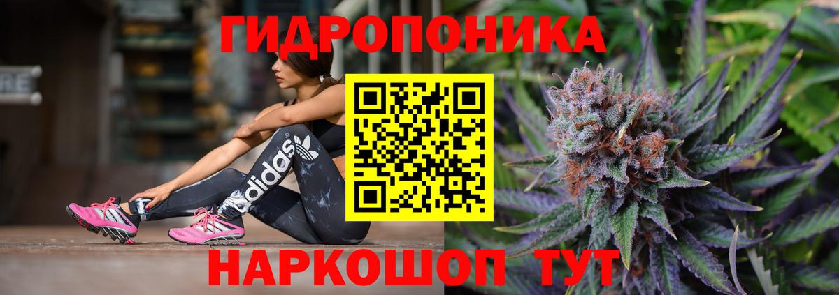 Бошки Шишки семена Егорьевск
